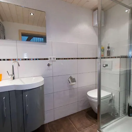 Hinz Apartment Todtnau