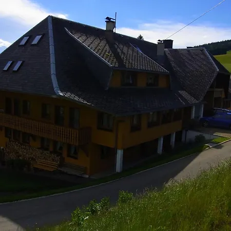 Hinz Apartment Todtnau