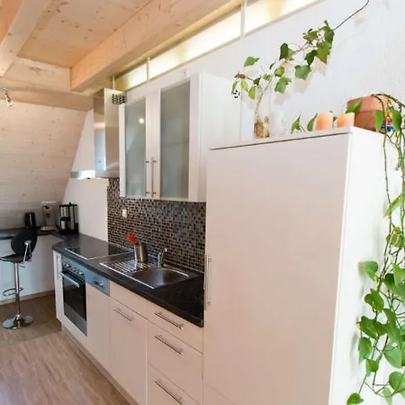 Apartment Hinz *