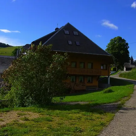 Hinz Apartment Todtnau