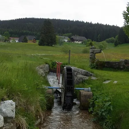 Apartment Hinz Todtnau